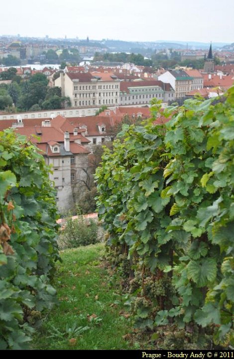 Prague - Mala Strana et Chateau 064
